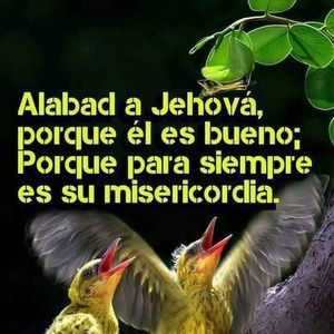 Meet your Posher, Ramos